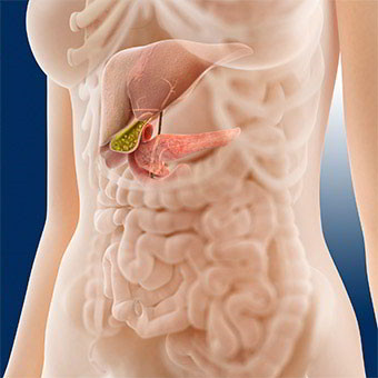 Pancreatitis - Causes, Symptoms and Treatment - Earth's Lab - The Easy