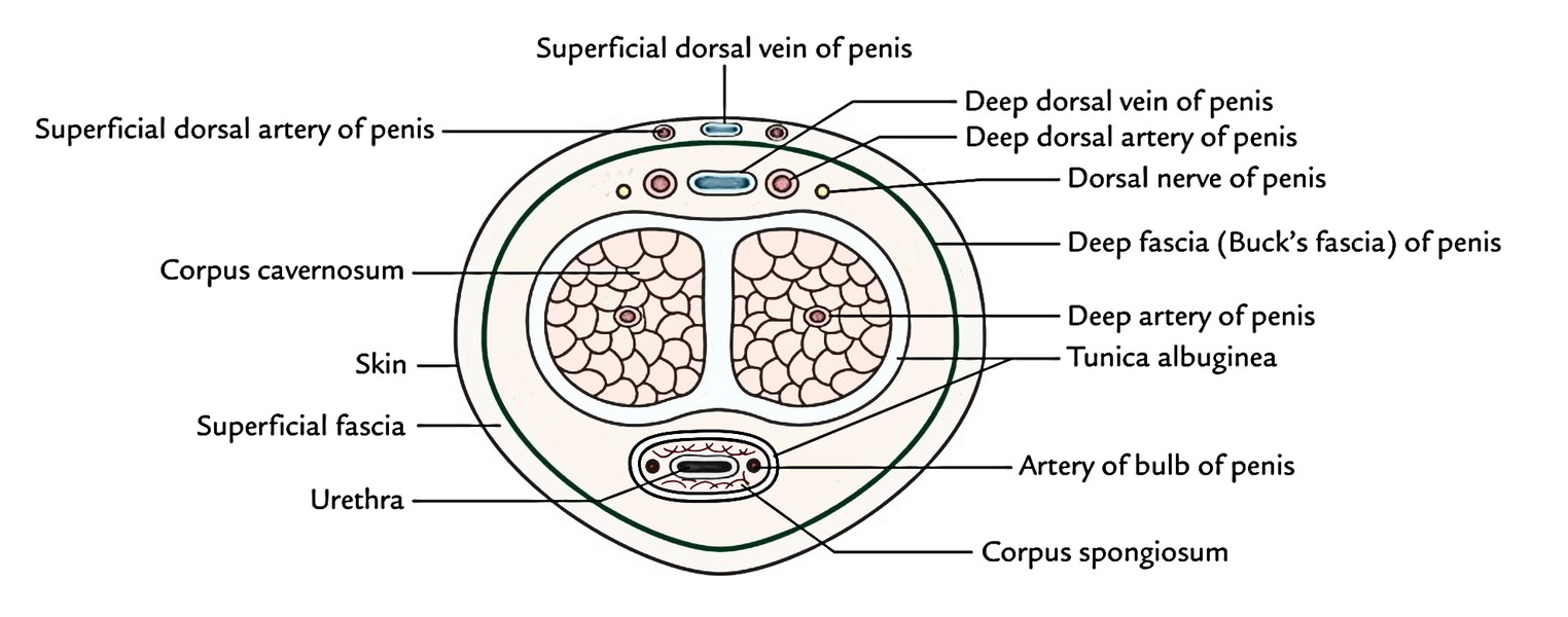 Source: www.earthslab.com. 