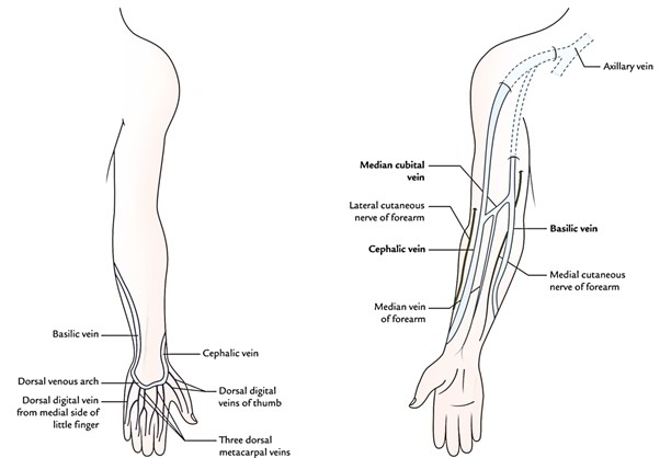 Diagnostic Ultrasound: Vascular, 1e