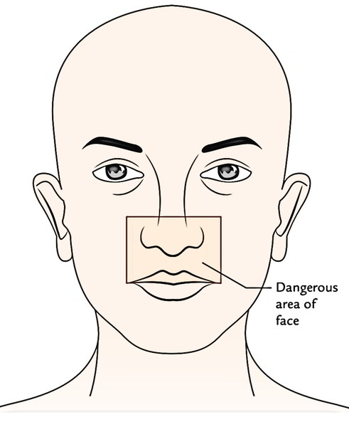 Face Anatomy: Dangerous Area of the Face