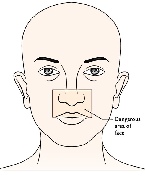 Easy Notes On 【Face Anatomy】Learn in Just 4 Minutes ...