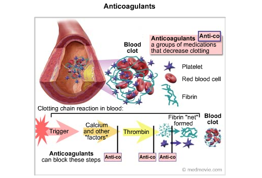 fibrinolysis and anticoagulants fibrinolysis