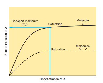 Carrier-Mediated Transport and Kind of Carriers – Earth's Lab