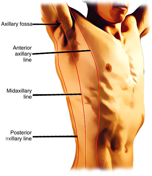 Axillary Lines