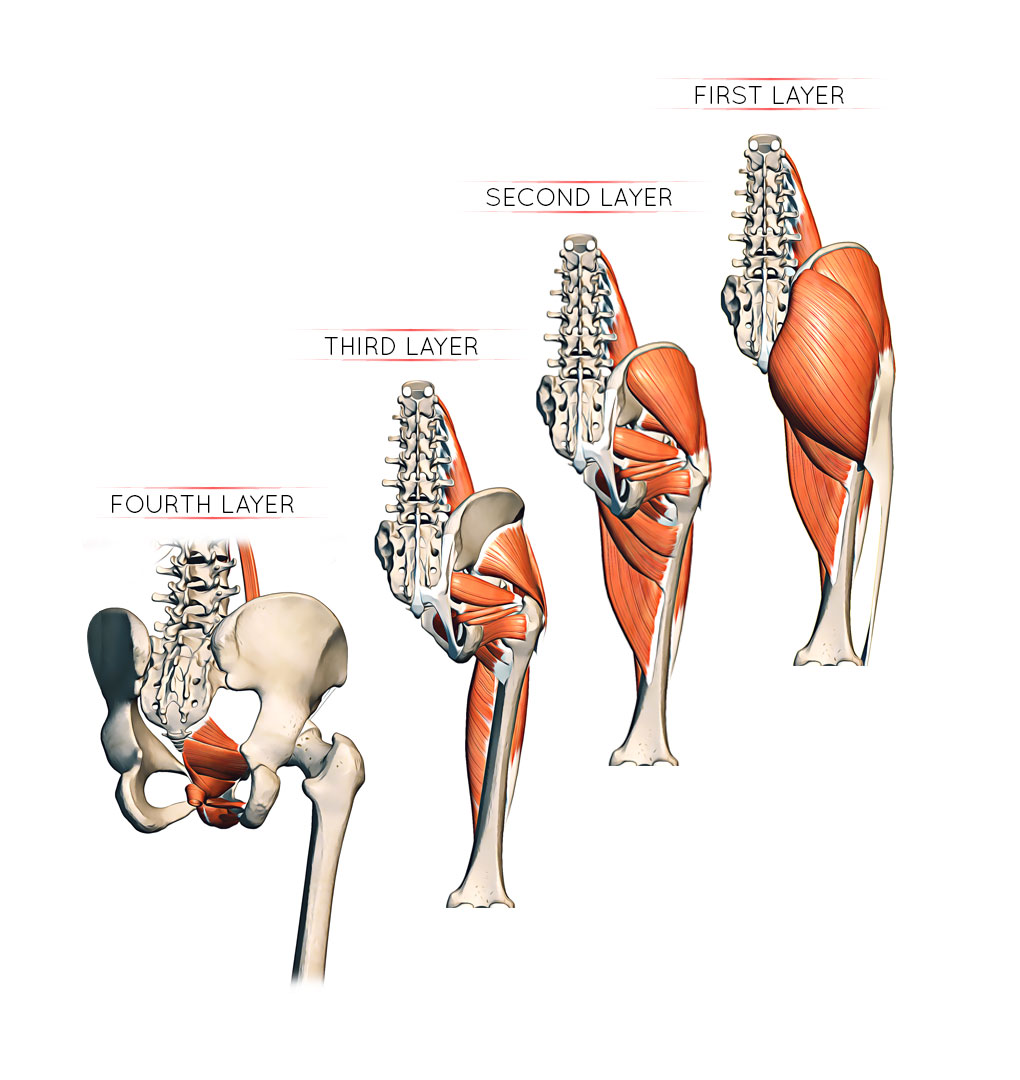 gluteal region