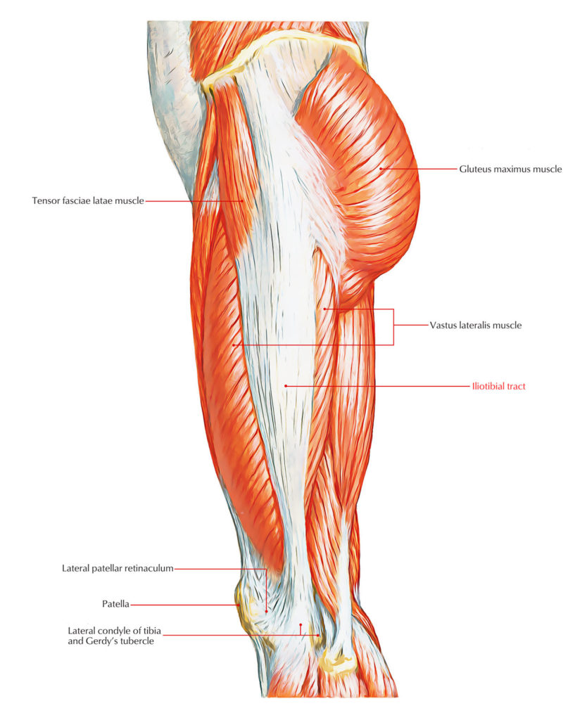 Iliotibial Band Earth's Lab