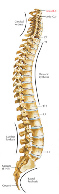 Atlas C1 – Earth's Lab
