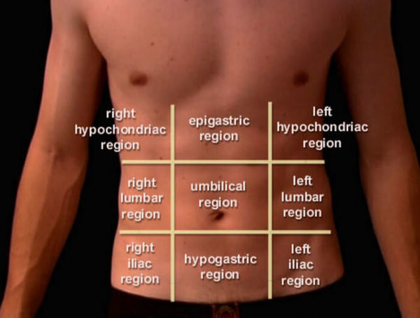 Abdominal Quadrant Chart